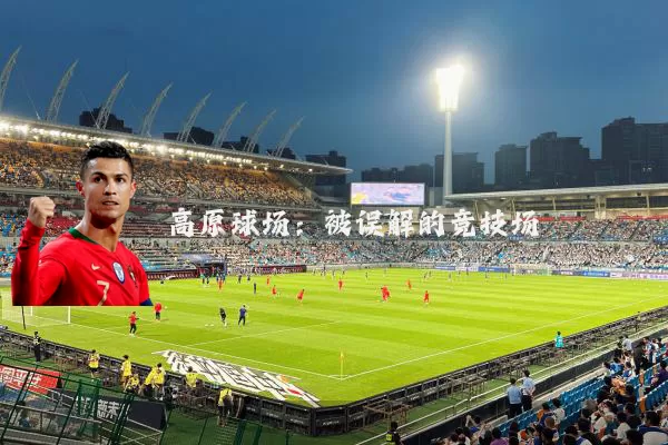 高原球场:被误解的竞技场
